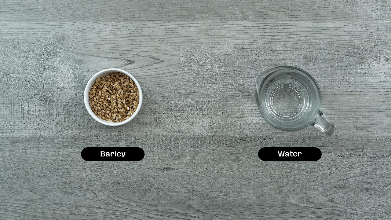 Barley Tea Ingredients placed on a table.