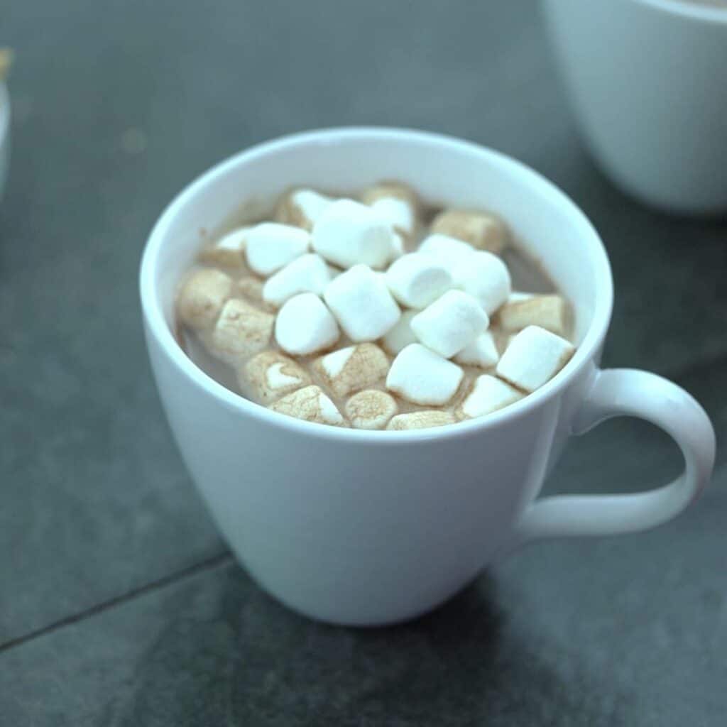 Hot Cocoa with Marshmallow served in a mug.