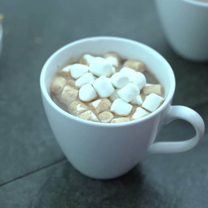 Hot Cocoa with Marshmallow served in a mug.