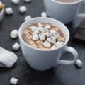 Hot Cocoa served in a cup topped with marshmallows.