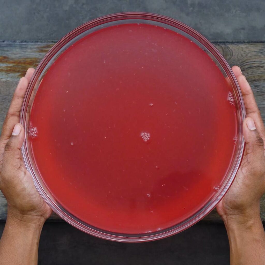 Pink Lemonade in a large bowl.