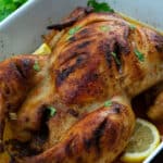 Whole roasted chicken in a white ceramic baking tray with lemon slices