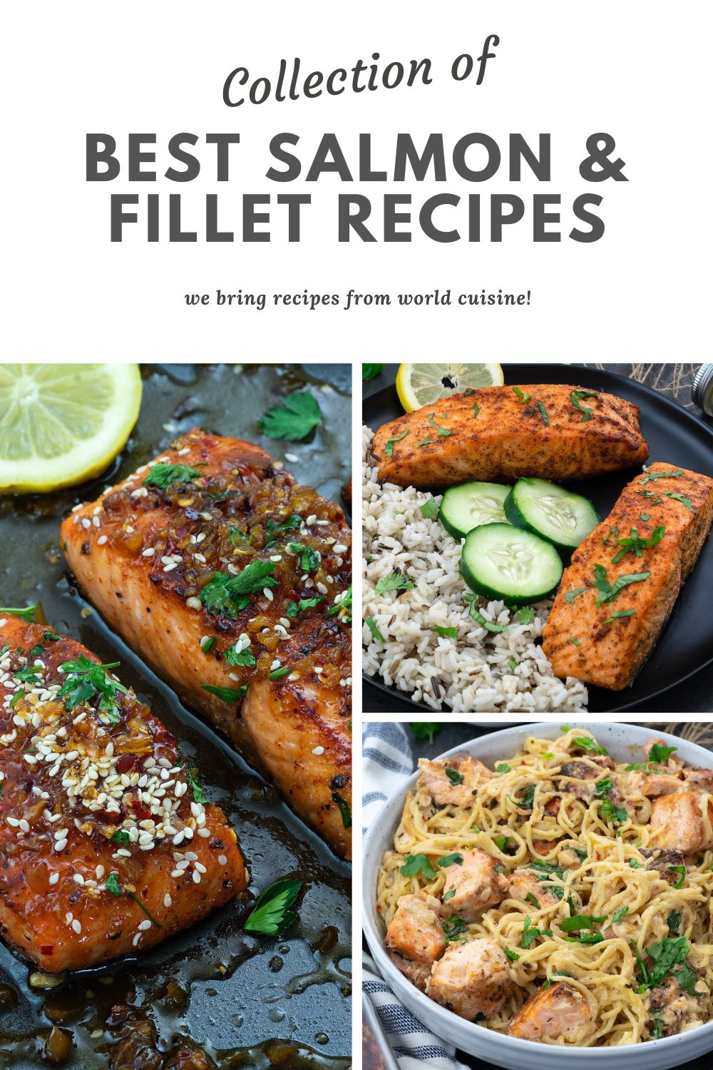 14 Best and Healthy Salmon and Fillet Recipes - Yellow Chili's