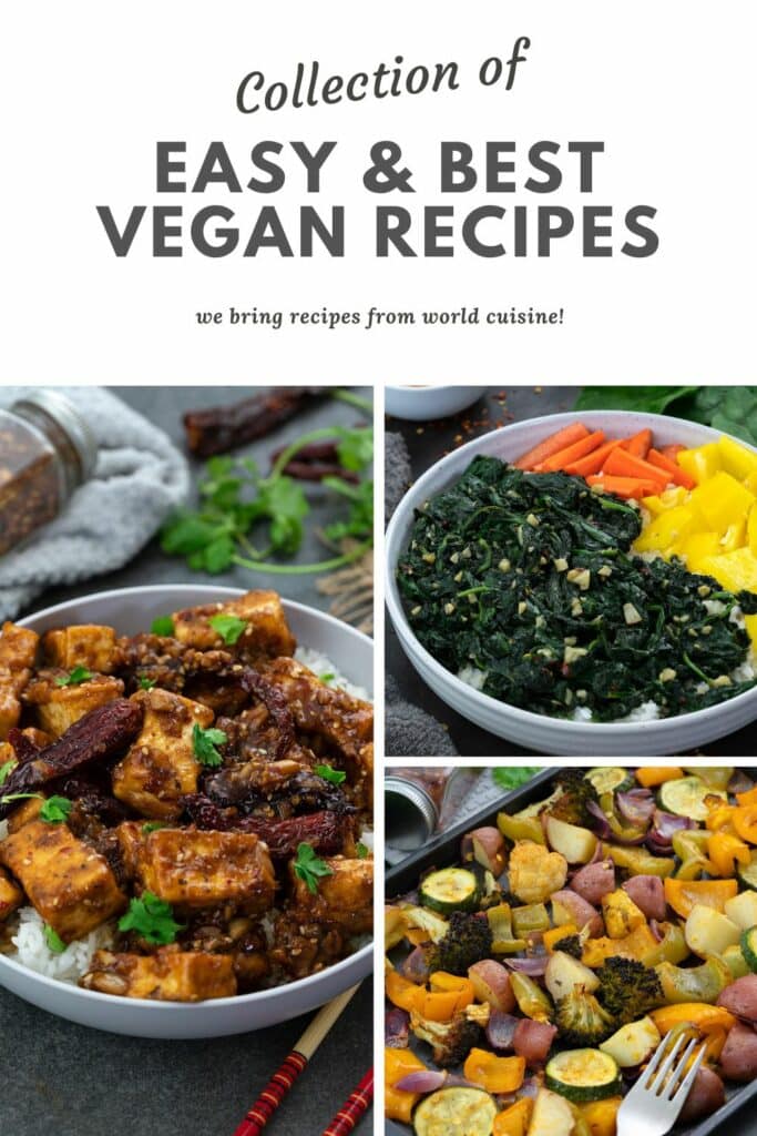 38 Easy and Best Vegan Recipes - Yellow Chili's