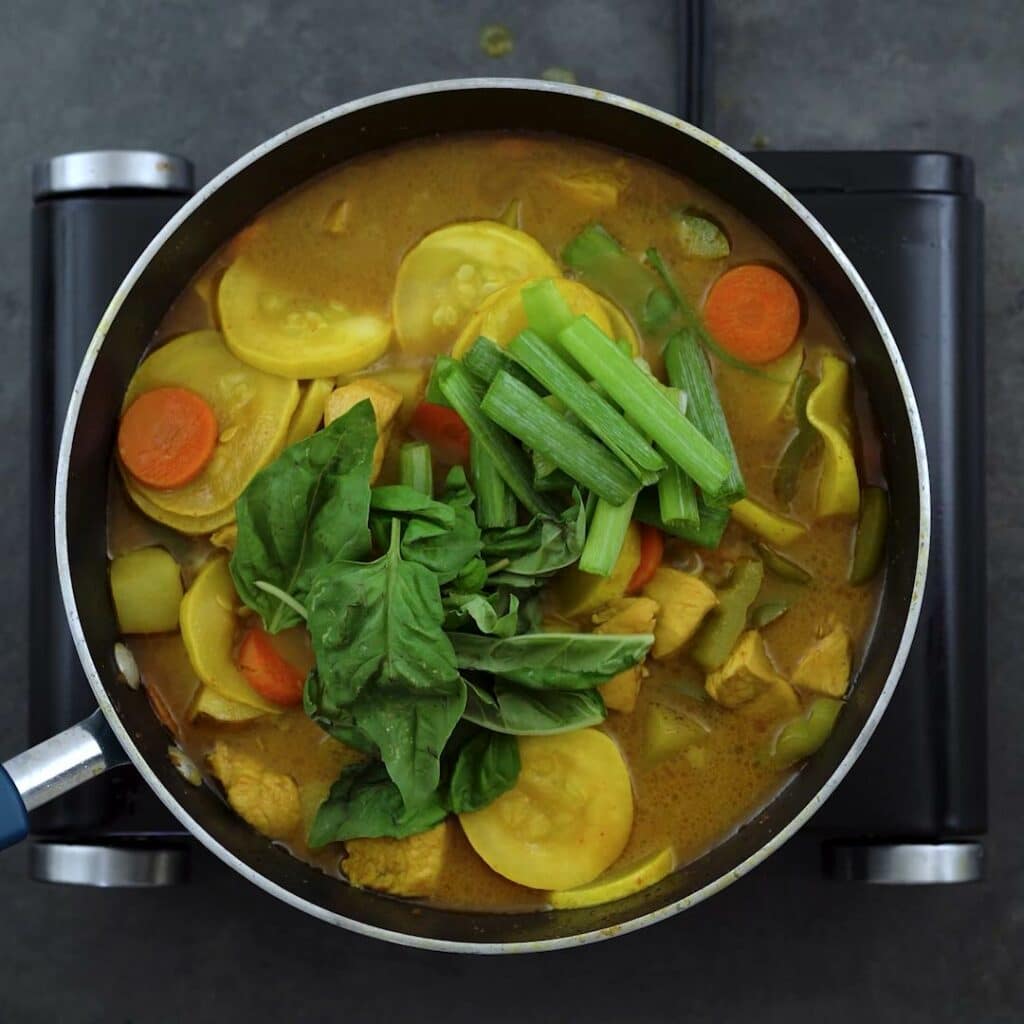Yellow chicken curry with basil leaves and green onions