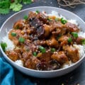 Teriyaki Chicken in a white bowl on a grey table with few ingredients around.