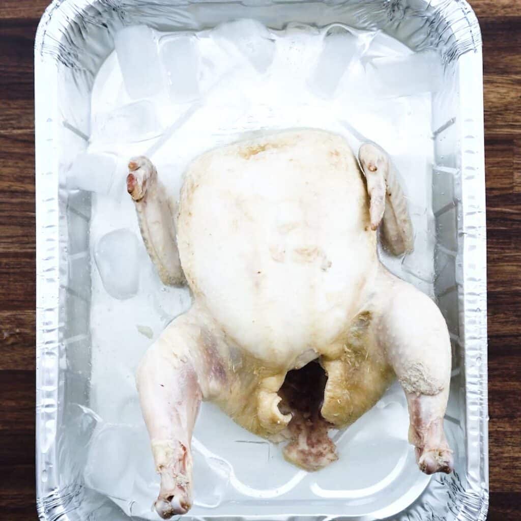 Cooked whole chicken in an ice bath.