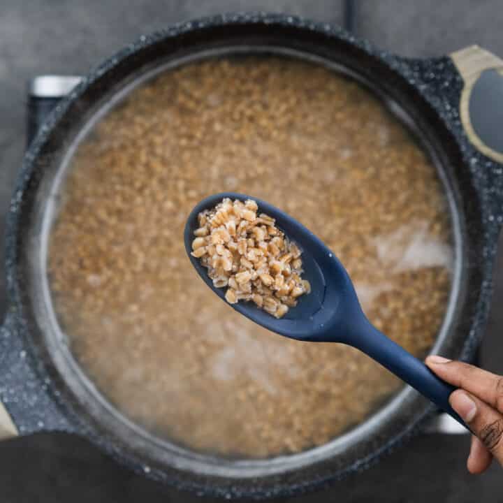 Close-up of cooked farro texture in a blue spoon.