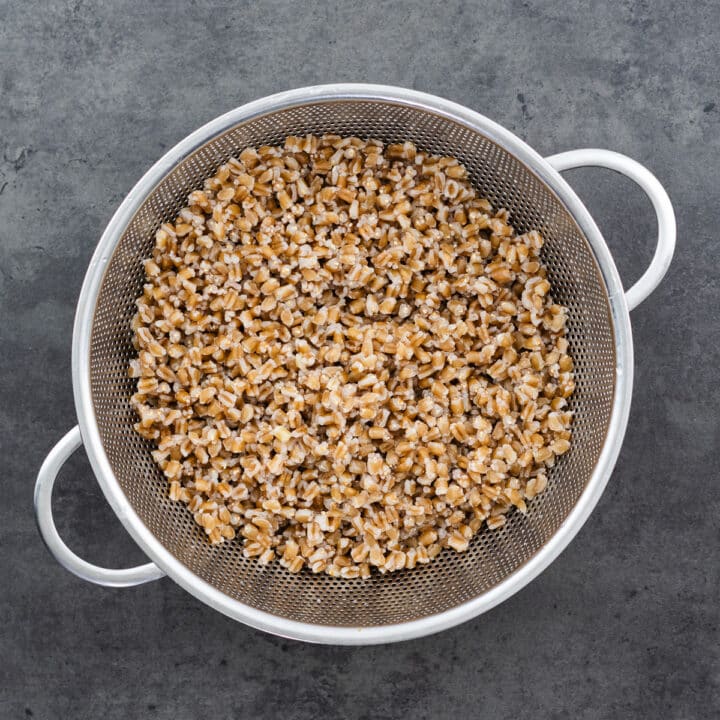 Drained farro in a colander after cooking.