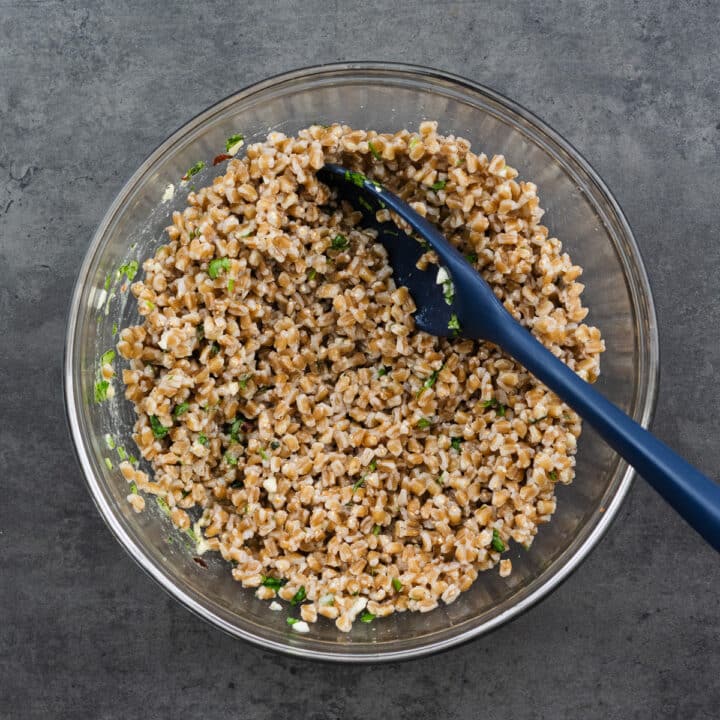 Farro mixed and seasoned with lemon dressing in a bowl.
