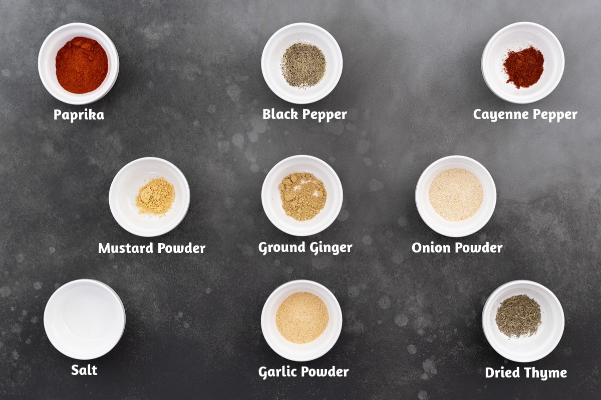 An array of salmon seasoning ingredients, including paprika, black pepper powder, cayenne pepper, mustard powder, ground ginger, onion powder, salt, garlic powder, and dried thyme, laid out on a gray table.