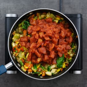 A pot with vegetables and diced tomatoes.