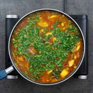 Vegetable soup garnished with parsley leaves in a pot.