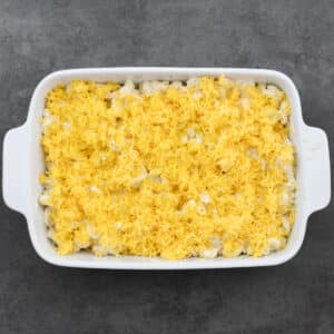 A baking dish filled with macaroni and cheese, topped with a layer of grated cheddar cheese.