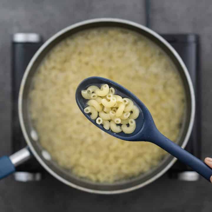 A close-up of cooked macaroni pasta on a blue spoon, showing its texture.