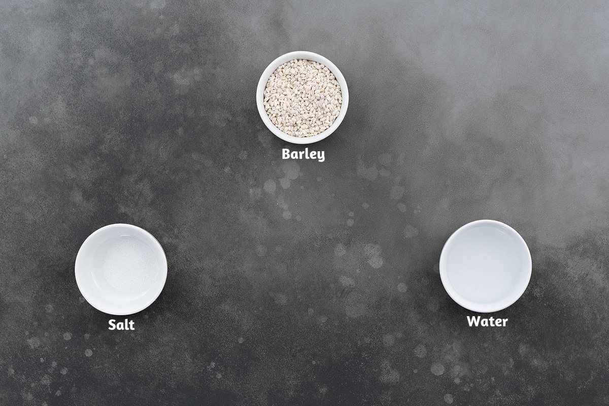 Ingredients to cook barley displayed on a gray table, including a small bowl of barley, salt and water.